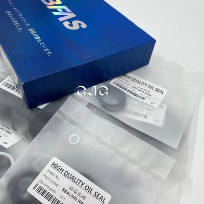 VC impermeável OEM hidráulico de Kit Oil Resistant do selo com vário tamanho